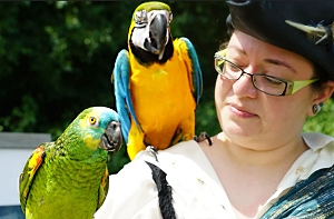 Our parrots are fully organic and gluten-free, and provided by the Make-A-Wish Foundation - The Ontario Pirate Festival